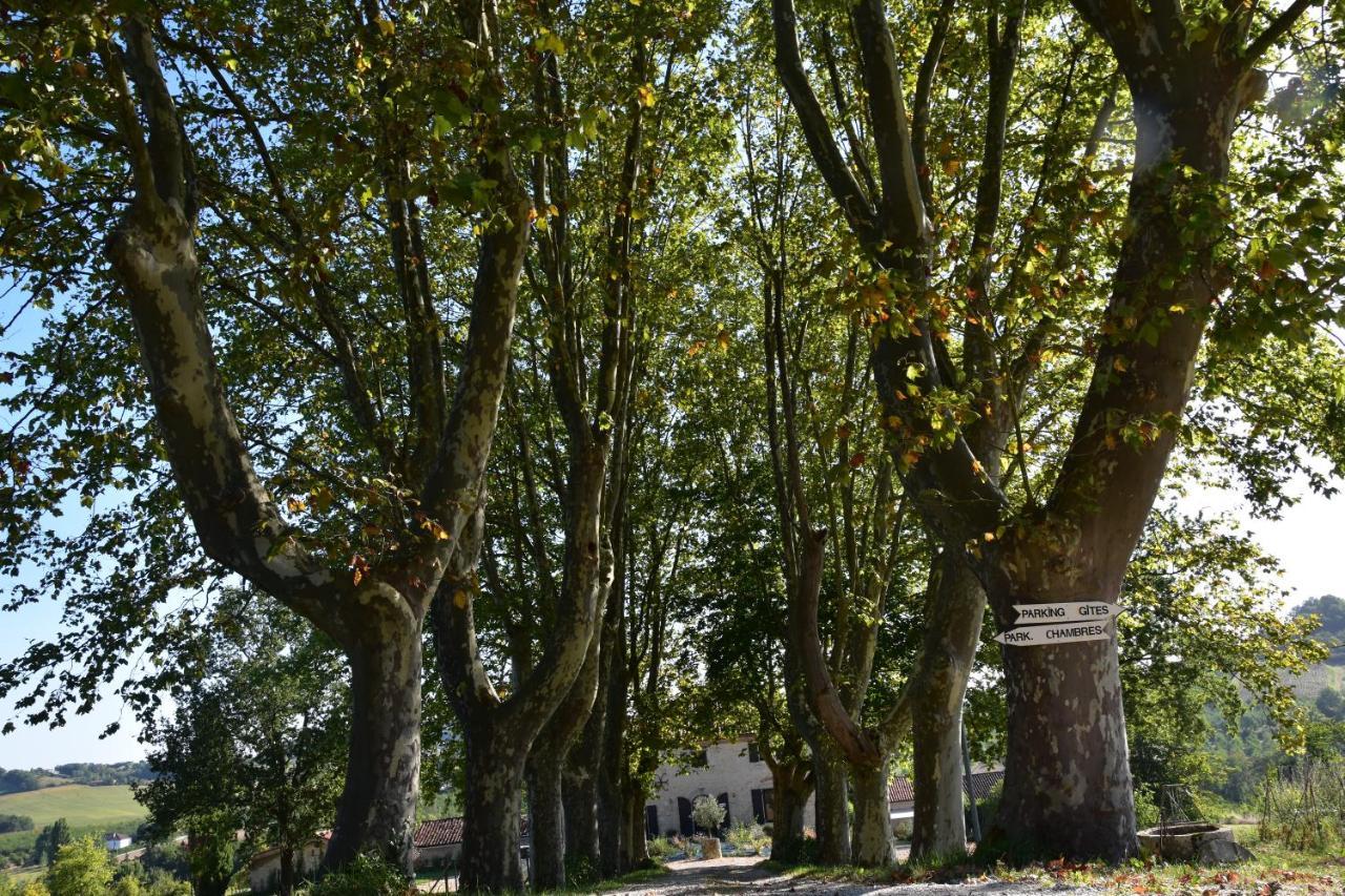 Domaine De Calbiac Bed & Breakfast Dolmayrac Bagian luar foto